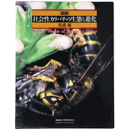 図説　社会性カリバチの生態と進化