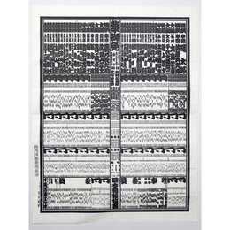 大相撲番付表　平成12年5月　夏場所