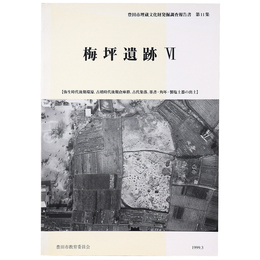 梅坪遺跡6　弥生時代後期環濠、古墳時代後期倉庫群、古代集落、墨書・角坏・製塩土器の出土