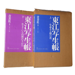 東江写生帳　 上下2冊揃