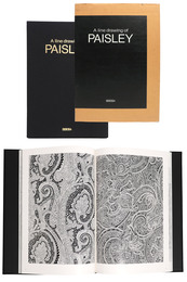 A line drawing of PAISLEY