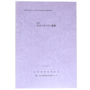 鹿島町　久江ツカノコシ遺跡