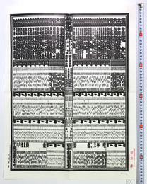 大相撲番付表 平成7年夏場所 横綱 曙太郎 貴乃花光司