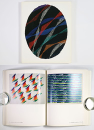 紙による作品100　ピエロ・ドラーツィオ展