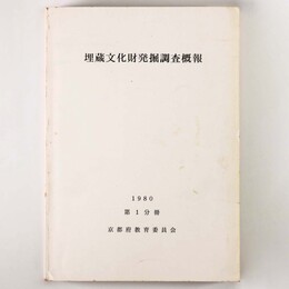 埋蔵文化財発掘調査概報　第1分冊