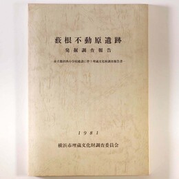 薮根不動原遺跡　発掘調査報告　市立都田西小学校建設に伴う埋蔵文化財調査報告書