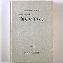朝田墳墓群５　国道9号・山口バイパス