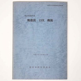 鴨都波12次概報