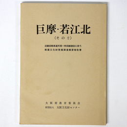 巨摩・若江北　その2　近畿自動車道天理 吹田線建設に伴う埋蔵文化財発掘調査概要報告書