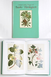 キャプテン・クック探検航海と「バンクス花譜集」展