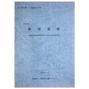 勝部遺跡　大阪国際空港周辺緑地整備事業に伴う埋蔵文化財調査報告書