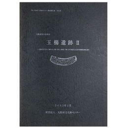 玉櫛遺跡2　大阪府営茨木玉櫛住宅(建て替え)新築工事に伴う埋蔵文化財発掘調査報告書