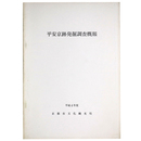 平安京跡発掘調査概報　平成4年度