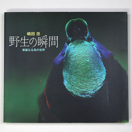 野生の瞬間　華麗なる鳥の世界