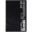 Janusz Maria Brzeski Kazimierz Podsadecki: z pogranicza plastyki i filmu