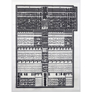 大相撲番付表　昭和56年7月　名古屋場所