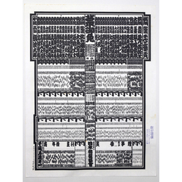 大相撲番付表　昭和56年11月　九州場所