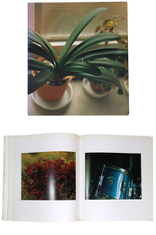 生きている　佐内正史写真集