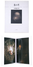 象の耳　大西成明写真集