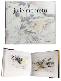 Julie Mehretu: The Drawings