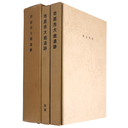 市原市大廐遺跡　本編・図版・折込別図