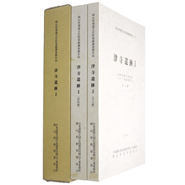 津寺遺跡3　山陽自動車道建設に伴う発掘調査12　本文編・図版編