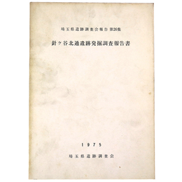 針ケ谷北通遺跡発掘調査報告書