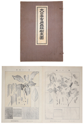 大日本有用森林樹木図