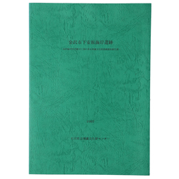 金沢市下安原海岸遺跡