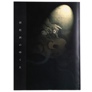 岩佐派のゆくえ