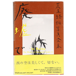 荒木経惟写真全集　第11巻　廃墟で