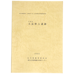 小松市　大長野A遺跡