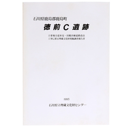 徳前C遺跡