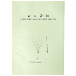 寺家遺跡
