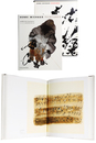 Henri Michaux: Peintures