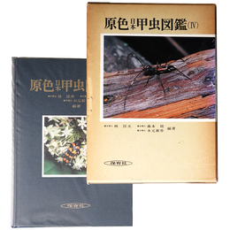 原色日本甲虫図鑑4