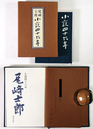 小説四十六年