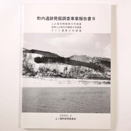 町内遺跡発掘調査事業報告書　8