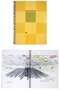 Daniel Buren: Les Couleurs Traversees