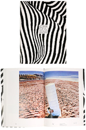 Trix + Robert Haussmann