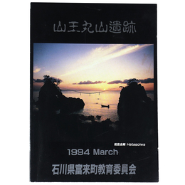 山王丸山遺跡
