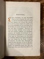 Der Sternsteinhof. Eine Dorfgeschichte.