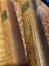 Gemälde des Wiener Kongresses, 1814-1815 : Erinnerungen Feste, Sittenschilderungen Anekdoten.