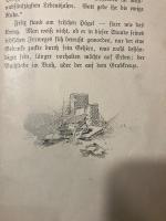 （独）アルプス物語　ペーター・ローゼッカー著　フリッツ・ライス挿絵　Alpengeschichten. Illustriert von Fritz Reiss.