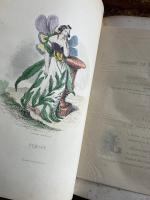 【グランヴィル挿絵本】（仏）Les fleurs animées　生命を与えられた花々（花の幻想）1867年新版初版　背モロッコ革当時装釘　全２巻揃い