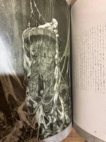 グリム幻想 : 女たちの15の伝説