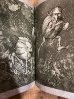 グリム幻想 : 女たちの15の伝説