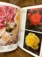 （英）薔薇百科事典〜モダンローズ第11巻　Modern Roses XI; The World Encyclopedia of Roses