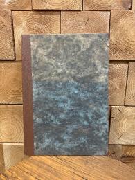 Das Alt=Wiener Sittenbild