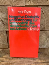 Negative Dialektik und Erfahrung